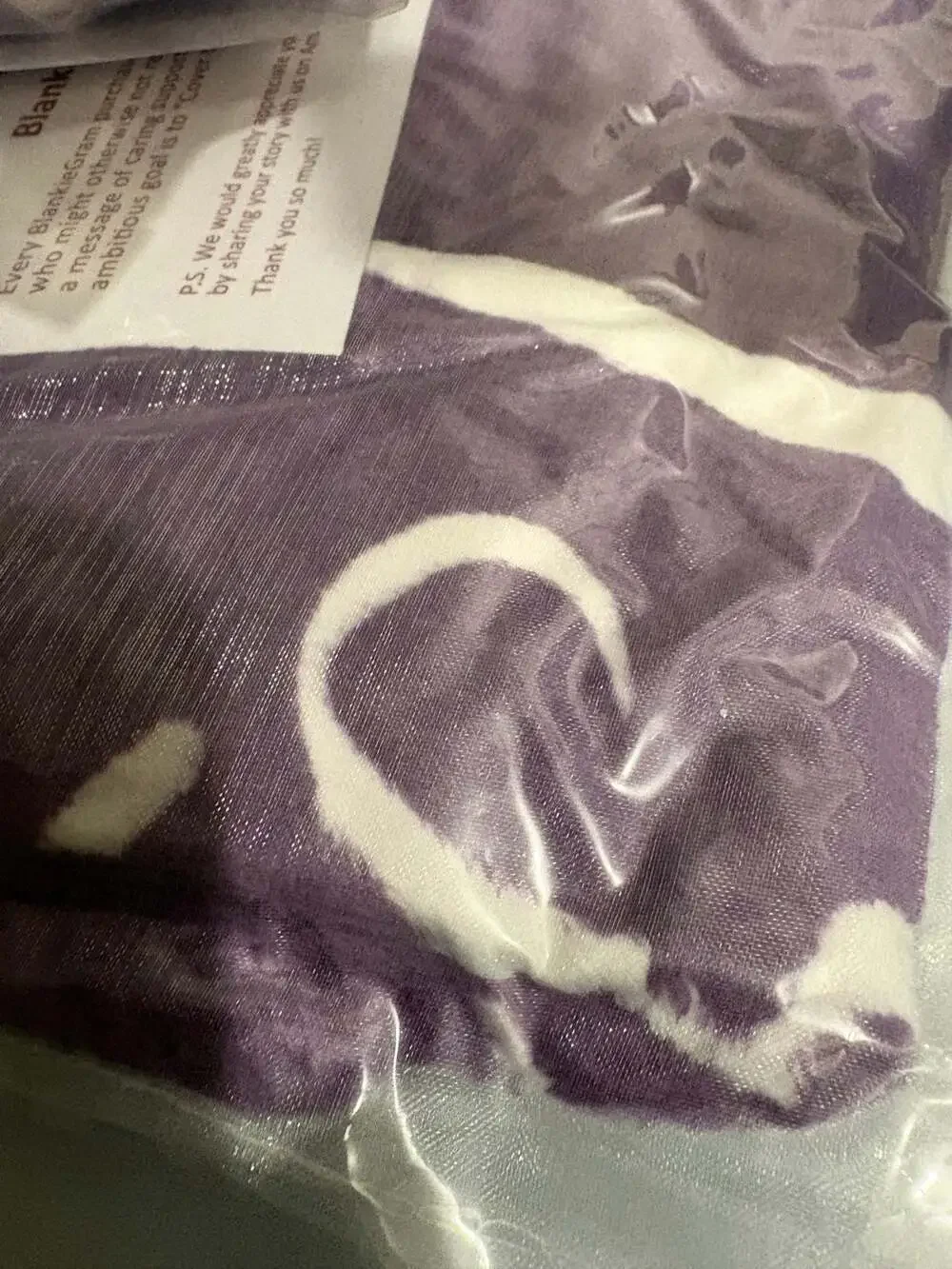 BlankieGram “You Are” Inspirational Throw Blanket – Purple – Plush Fleece Gift W